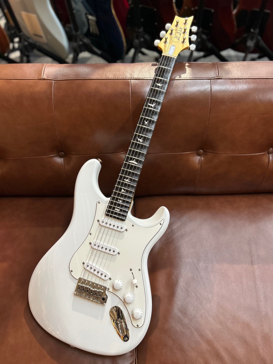 Paul Reed Smith(PRS) 【スキャロップド加工】SILVER SKY Mod ～Frost