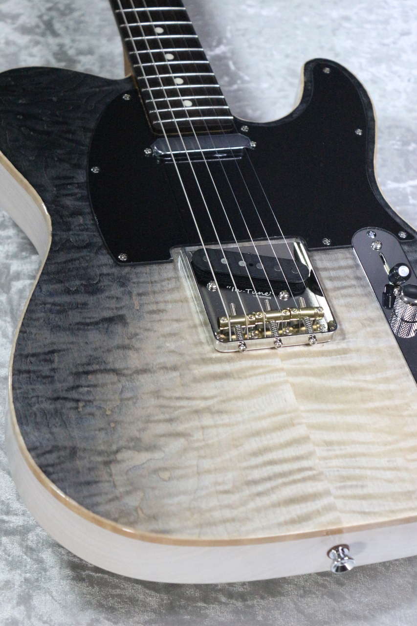 Kanade SOUND DESIGN 【激杢】KTL-AS Hollow FM Rosewood/Fade Black