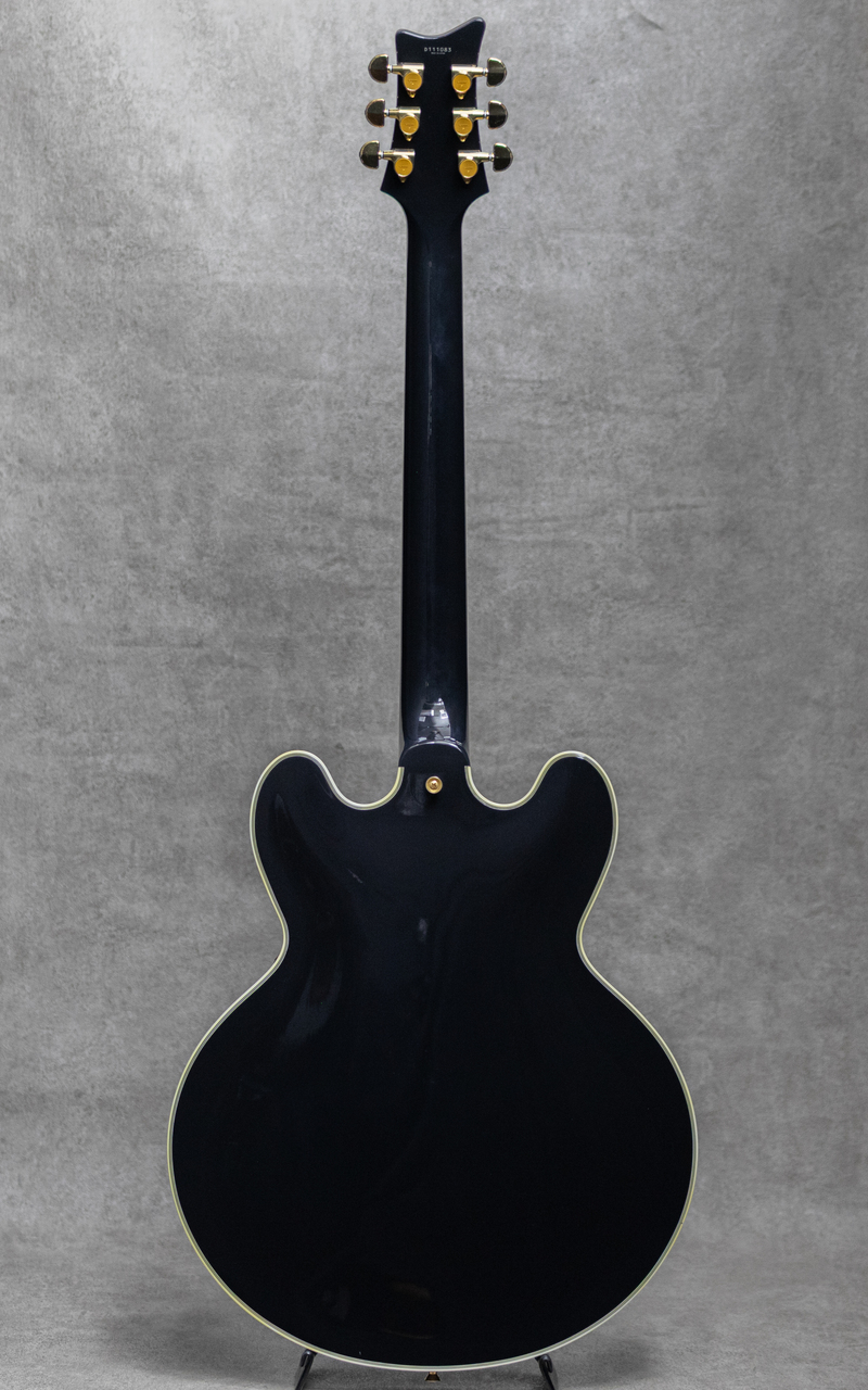Tom Holmes THC Semi Hollow Custom Black / 2010s（中古）【楽器検索