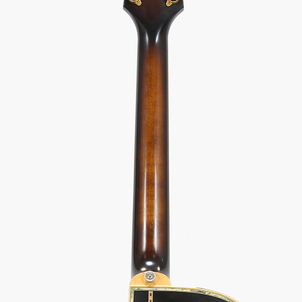 Takamine DSP530 *2000（中古）【楽器検索デジマート】