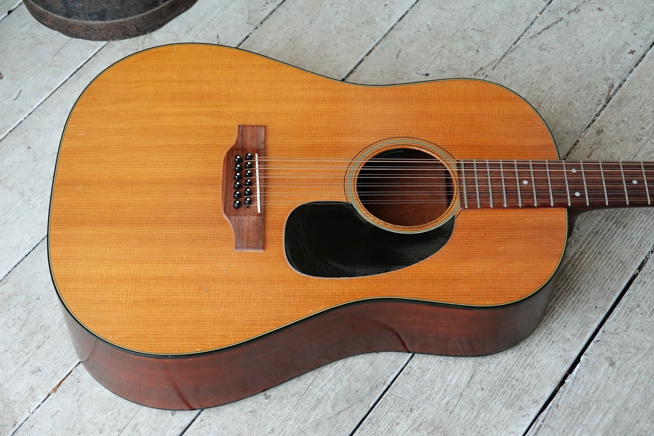 Martin D12-20（ビンテージ）【楽器検索デジマート】