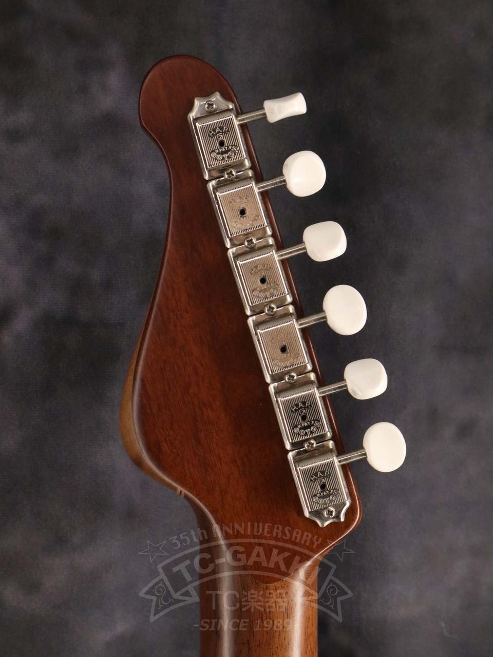 T.S factory 151A-Humanity Type1.5 25Anv+2（2022）（新品）【楽器