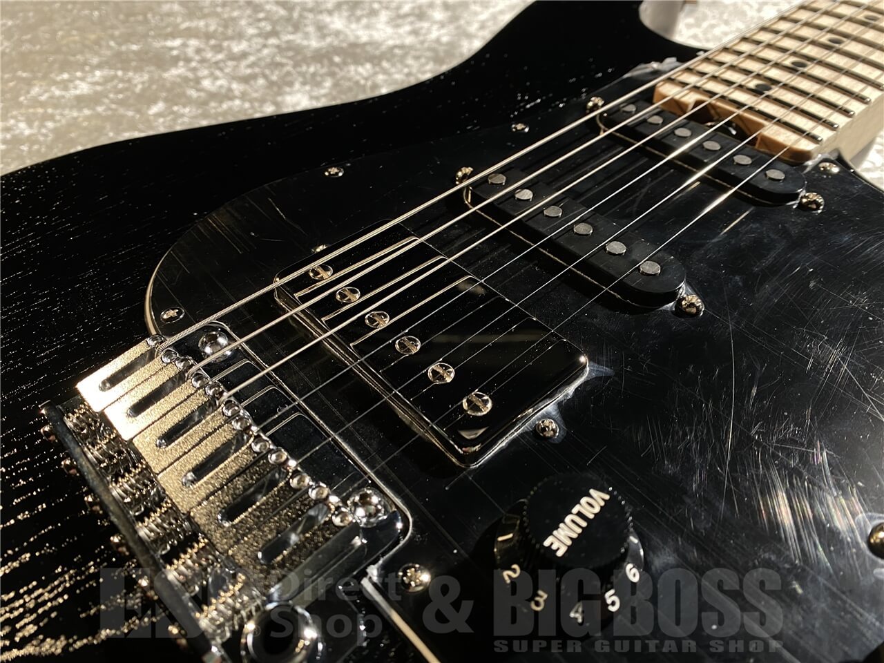 EDWARDS E-SNAPPER-AS/M (Solid Black)（新品/送料無料）【楽器検索