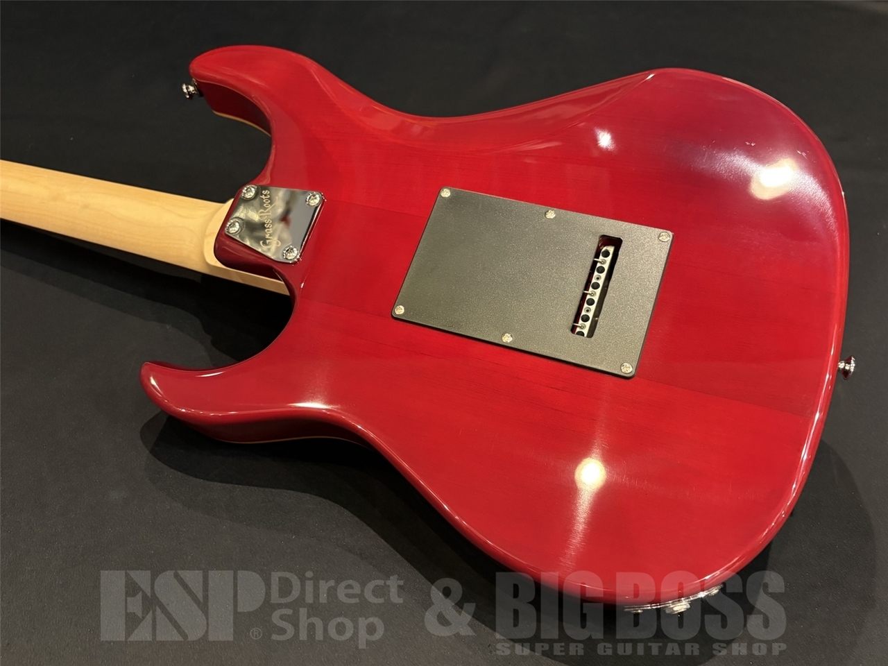 GrassRoots G-SNAPPER-CTM/FM See Thru Red （新品/送料無料）【楽器