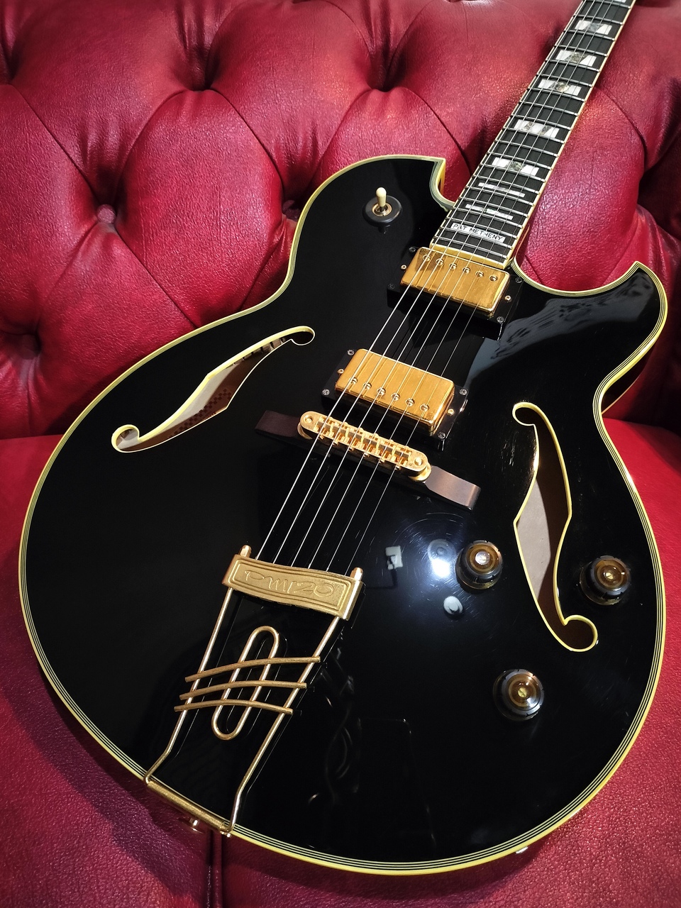 Ibanez PM120 Pat Metheny Signature フルアコ PM-120 Pat Metheny Signature Model|ドルフィンギターズ