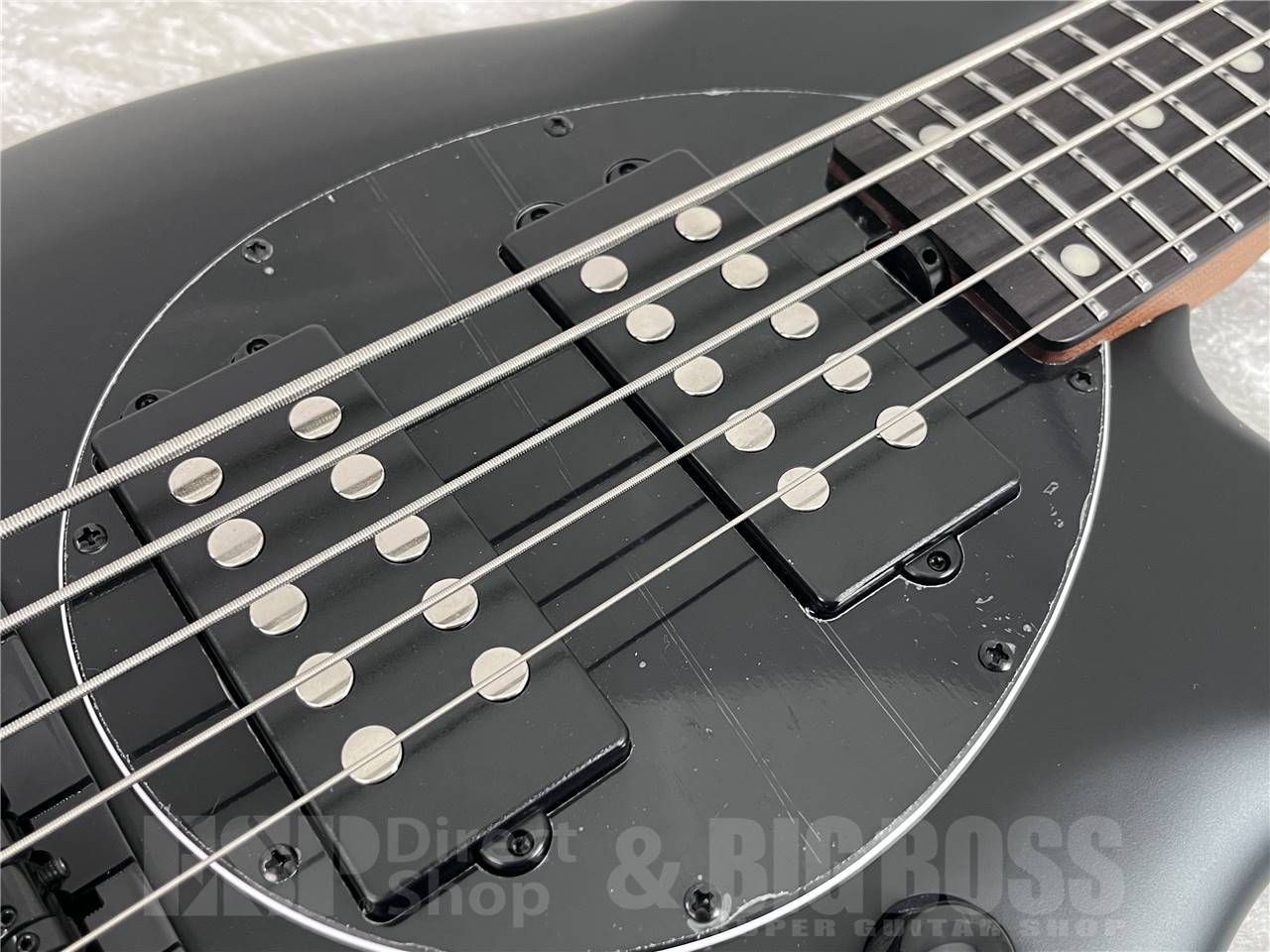 Sterling by MUSIC MAN BONGO5-SBK-R2 (Stealth Black)（新品/送料無料