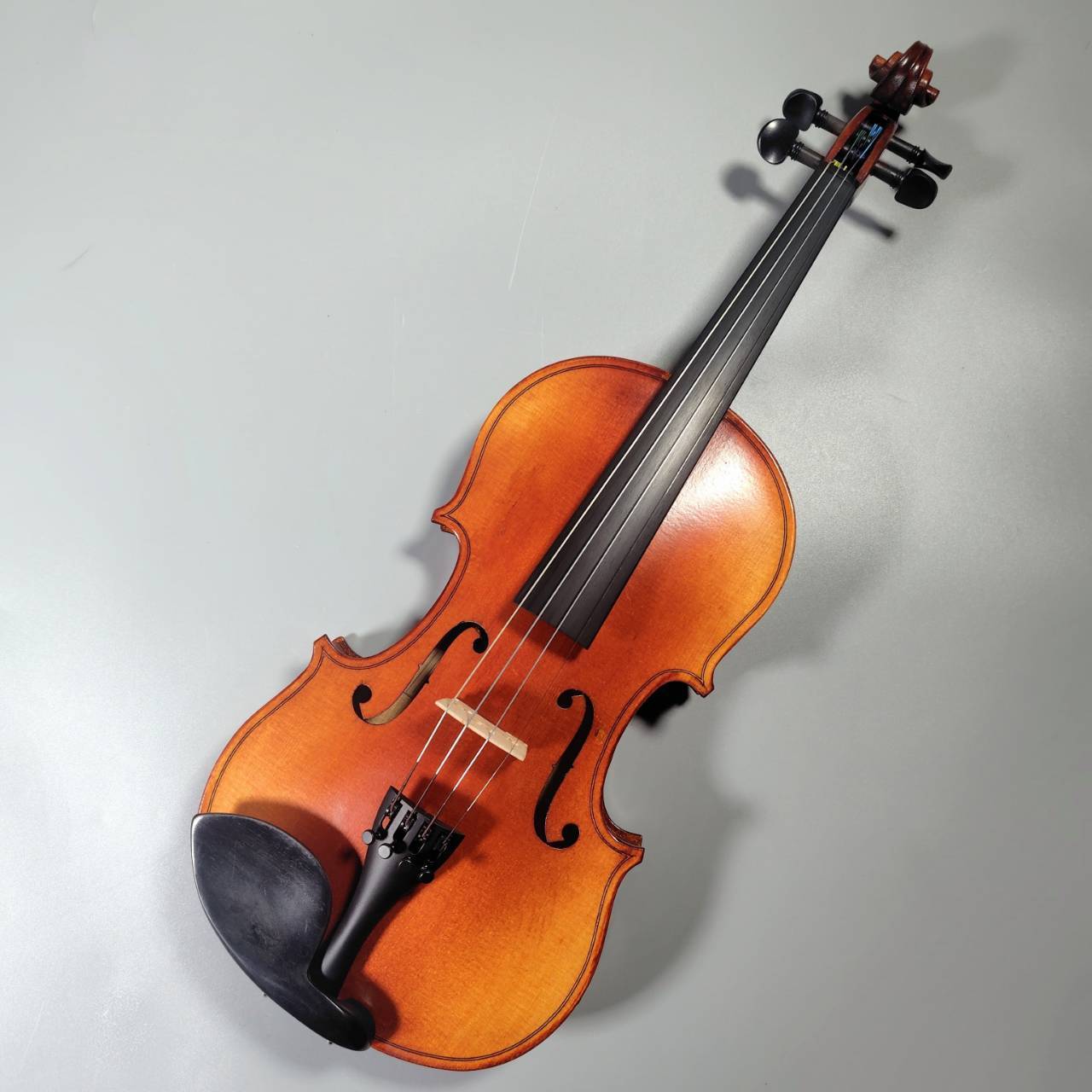 Carlo Giordano VS-S1 4/4 (B)（B級特価/送料無料）【楽器検索デジマート】