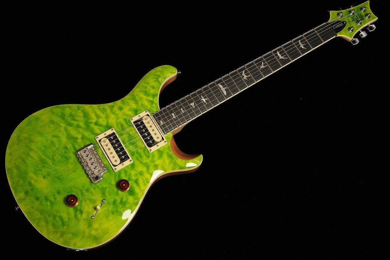 Paul Reed Smith(PRS) SE Custom24 Quilt Eriza Verde（新品/送料無料