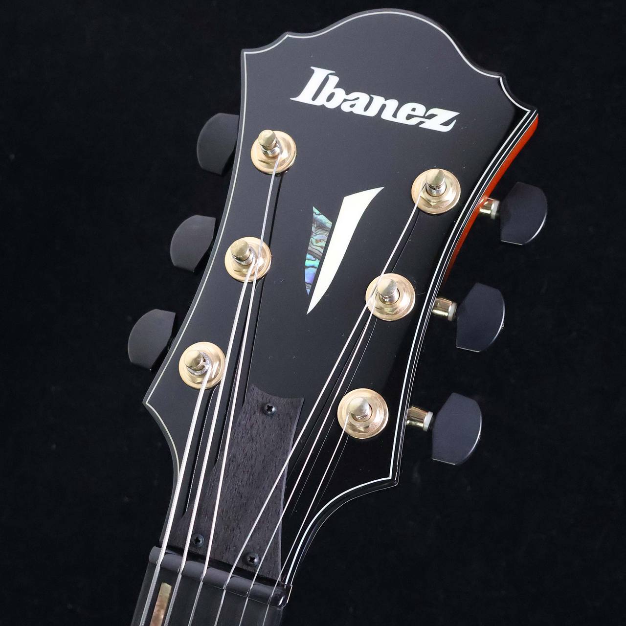 Ibanez AFC151-TBC S/N：PW25050425 【フルアコ】【島村楽器限定モデル