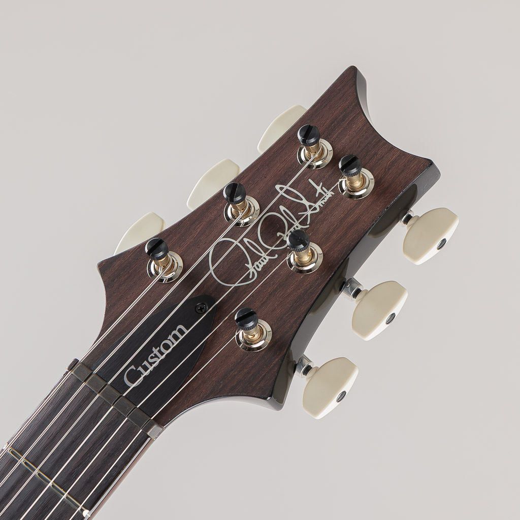 Paul Reed Smith(PRS) Custom24-08 Purple Mist 2025（新品/送料無料