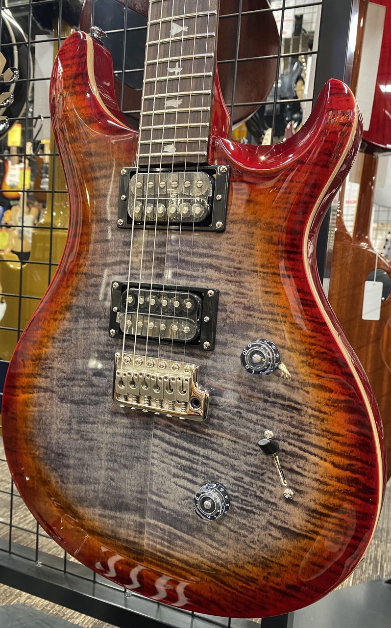 激杢！Paul Reed Smith SE custom24 MOD Paul Reed Smith SE 35th Anniversary Custom24 【B.U.G.Mod!!】Gotoh