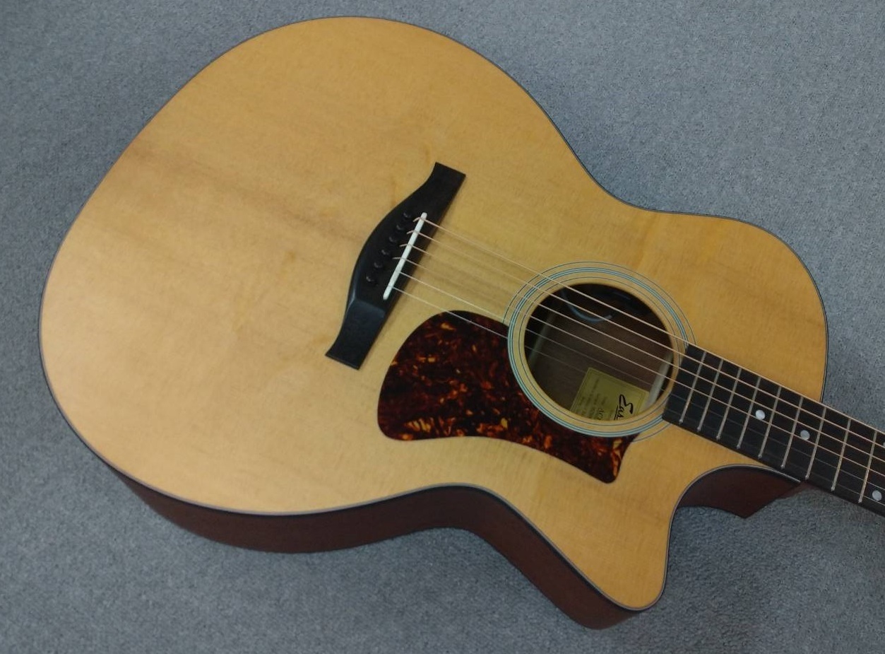 Eastman Grand Auditorium AC122CE 1CE ・ イーストマン オール単板