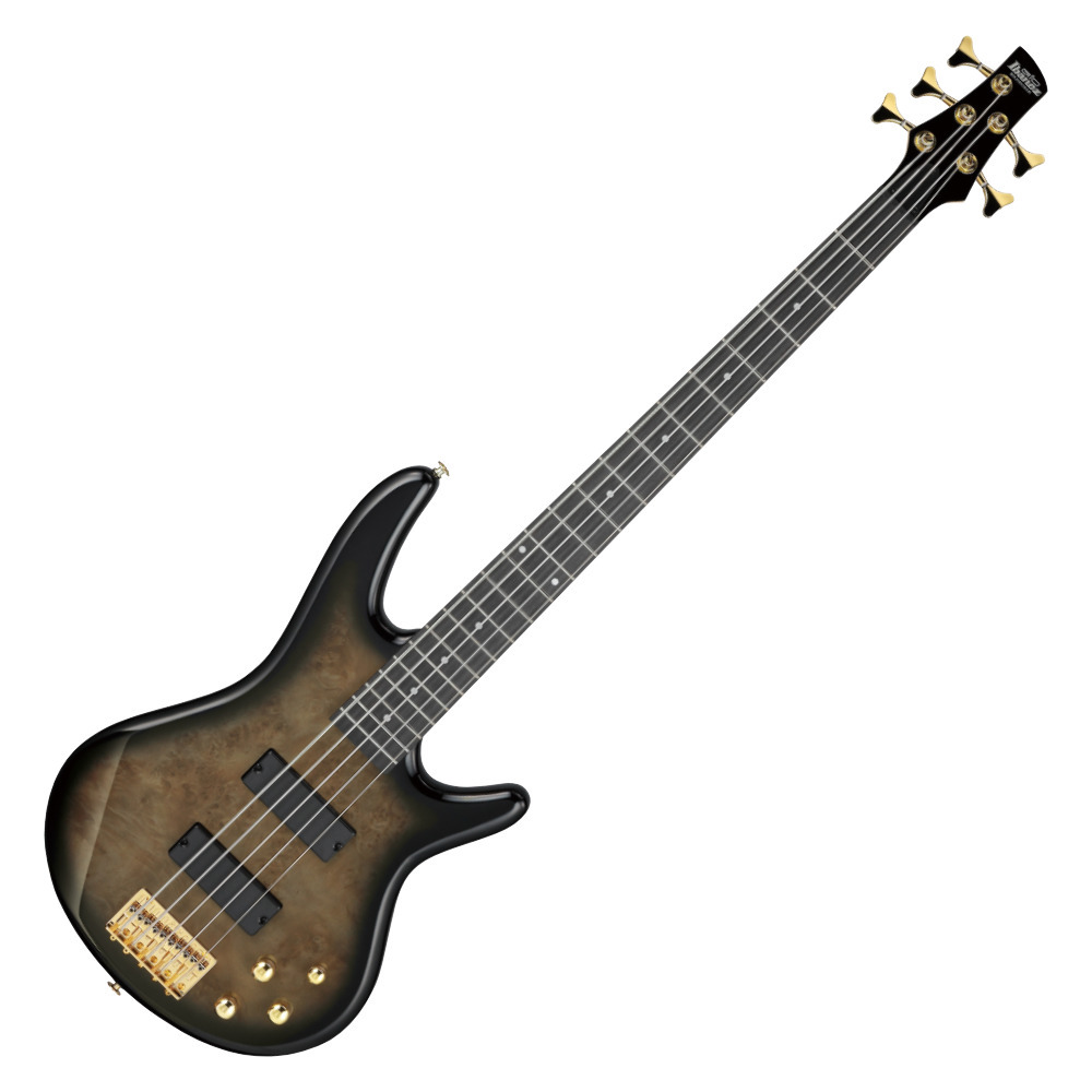 【*】様 Ibanez Gio GSR205PC-TMU 5弦ベース GSR205PC | SR | ELECTRIC BASSES | PRODUCTS | Ibanez guitars