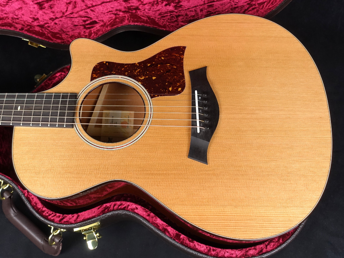 Taylor 512ce V-Class（新品）【楽器検索デジマート】