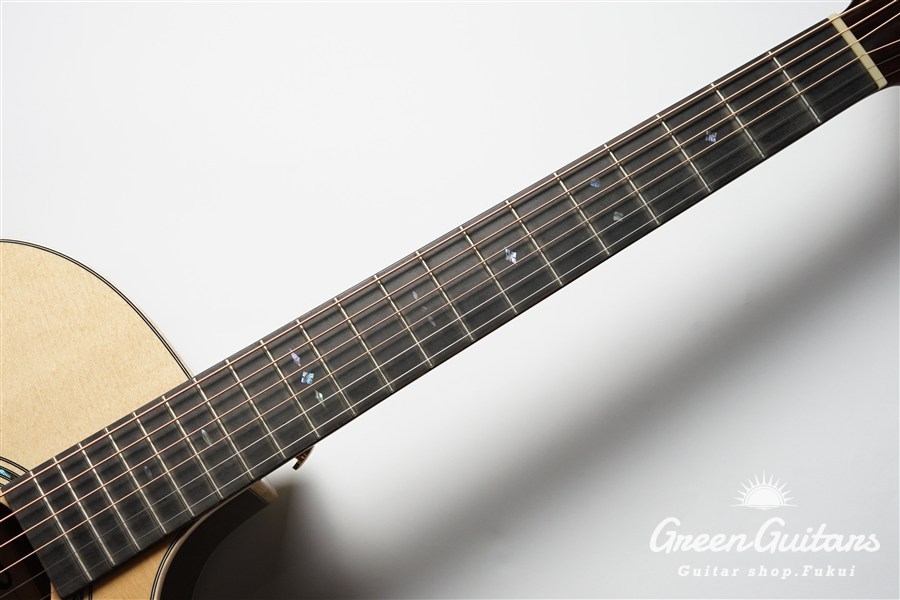 Starsun F130-GA Sitka Spruce / Indian Rosewood（新品/送料無料