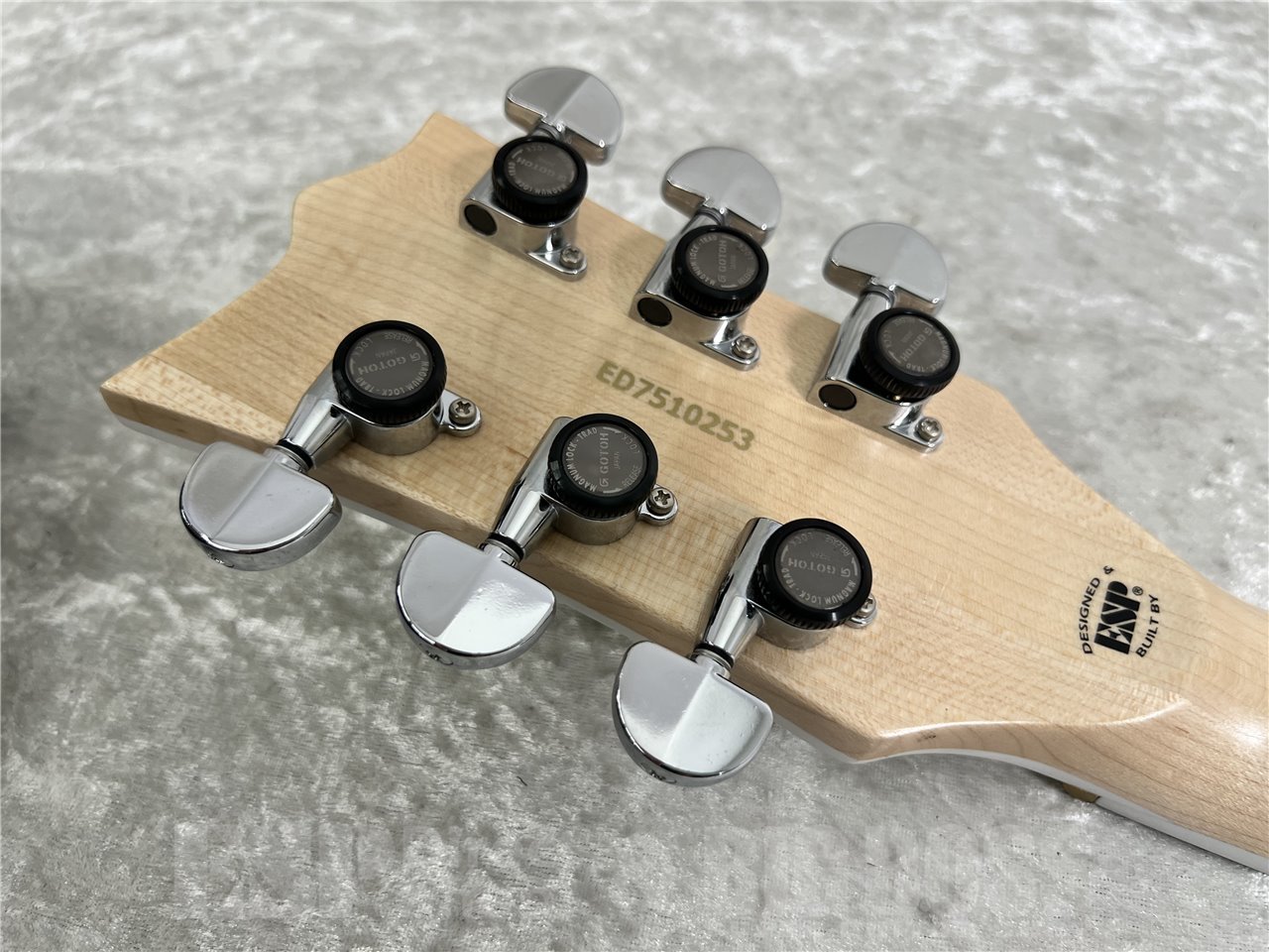 EDWARDS E-VIPER-CTM dustbox 25th Anniversary Limited Model