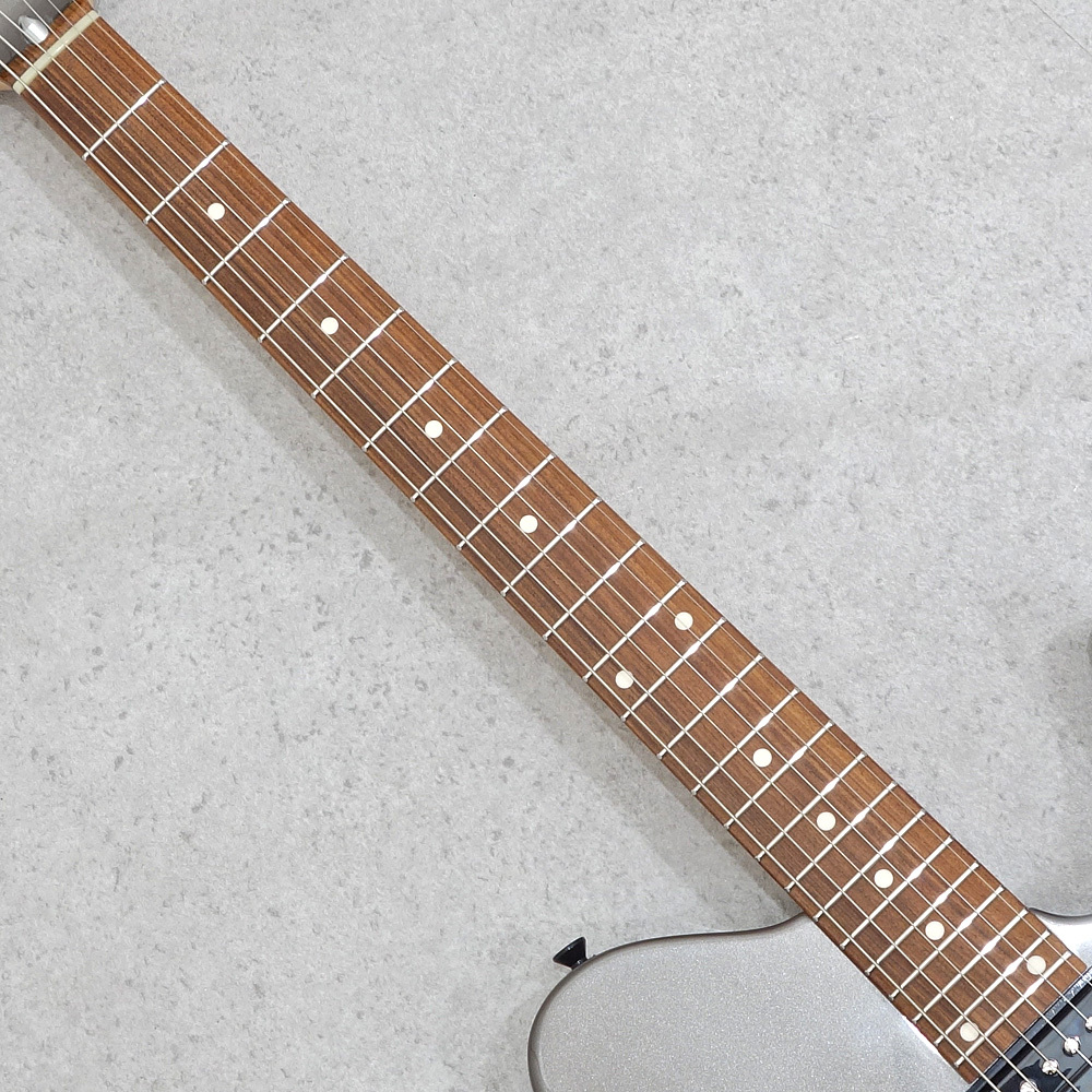 dragonfly BORDER 666 Alder/Pau Ferro/Flux（新品/送料無料）【楽器