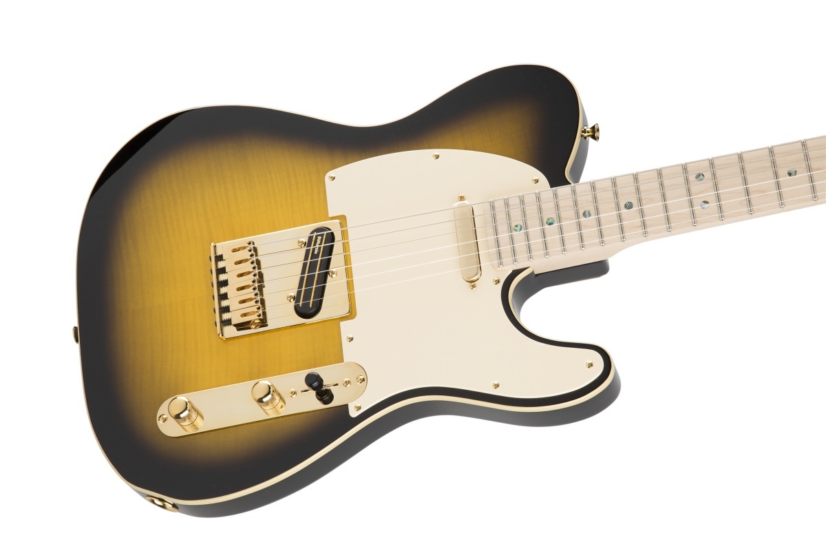 Fender Japan Exclusive Richie Kotzen Telecaster BS【WEBSHOP ...使用しなくなったので出品します