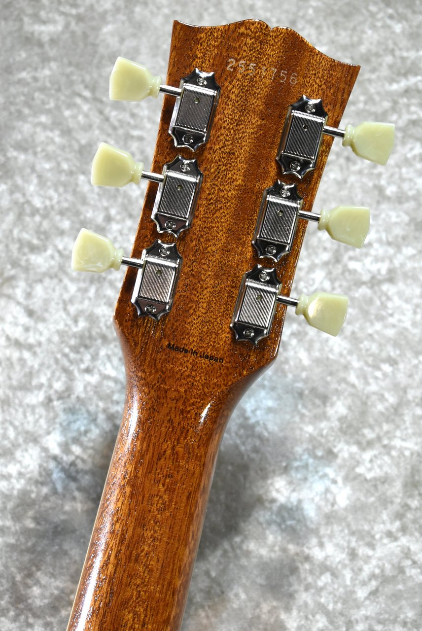 G-Rapレア皿13枚！ G-Rapレア皿13枚！ G-Rapレア皿13枚！