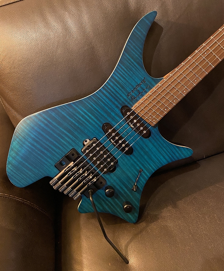 strandberg Boden Standard 6 SSH Trem Blue Flame（中古）【楽器検索 