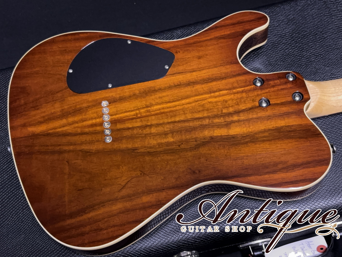 Asher Guitars Master Series T Deluxe Violin Burst /T-Swamp