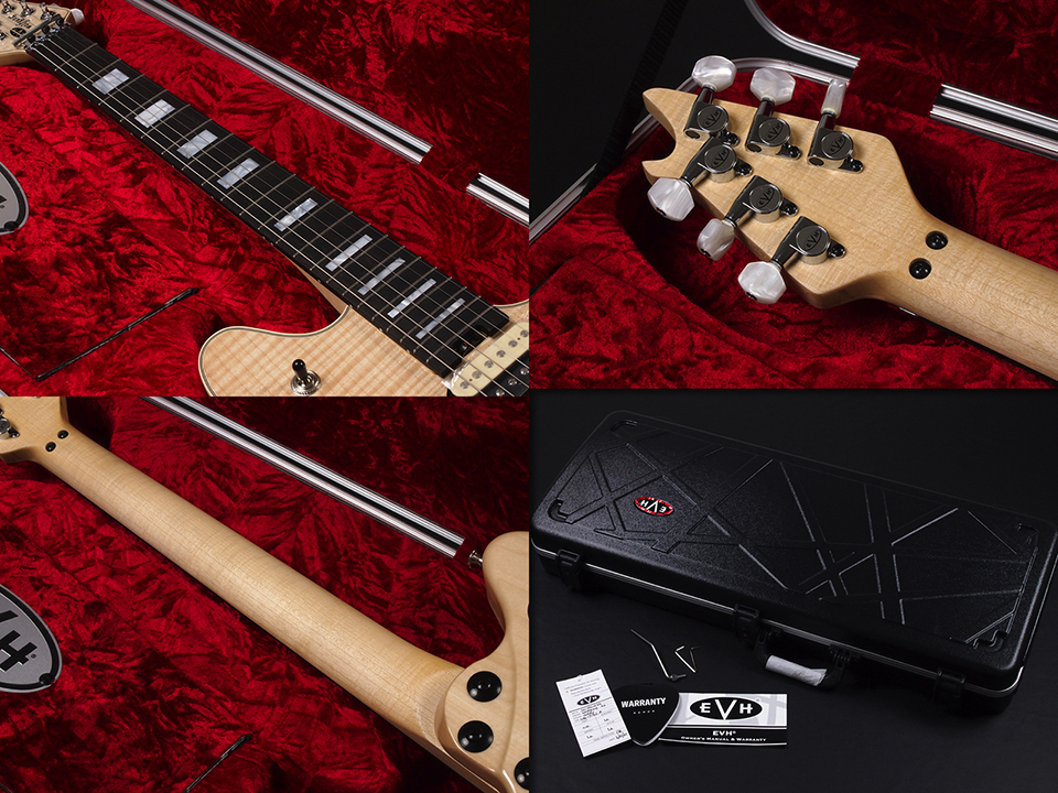 EVH Wolfgang Custom Low Friction Pot [250K] コントロール・ポット