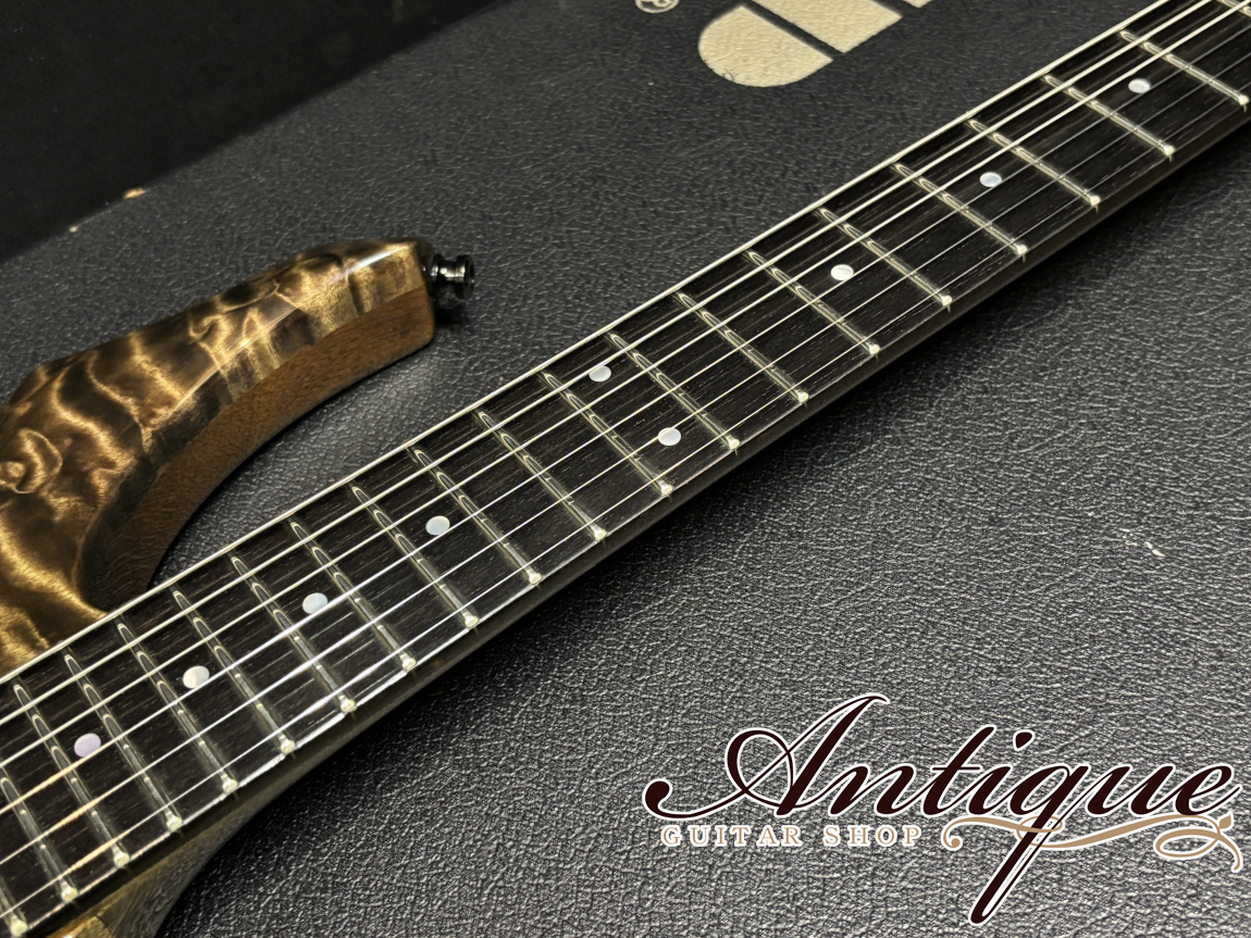 ESP [001]-560P PIERROT Aiji Model 1999 See Through Black