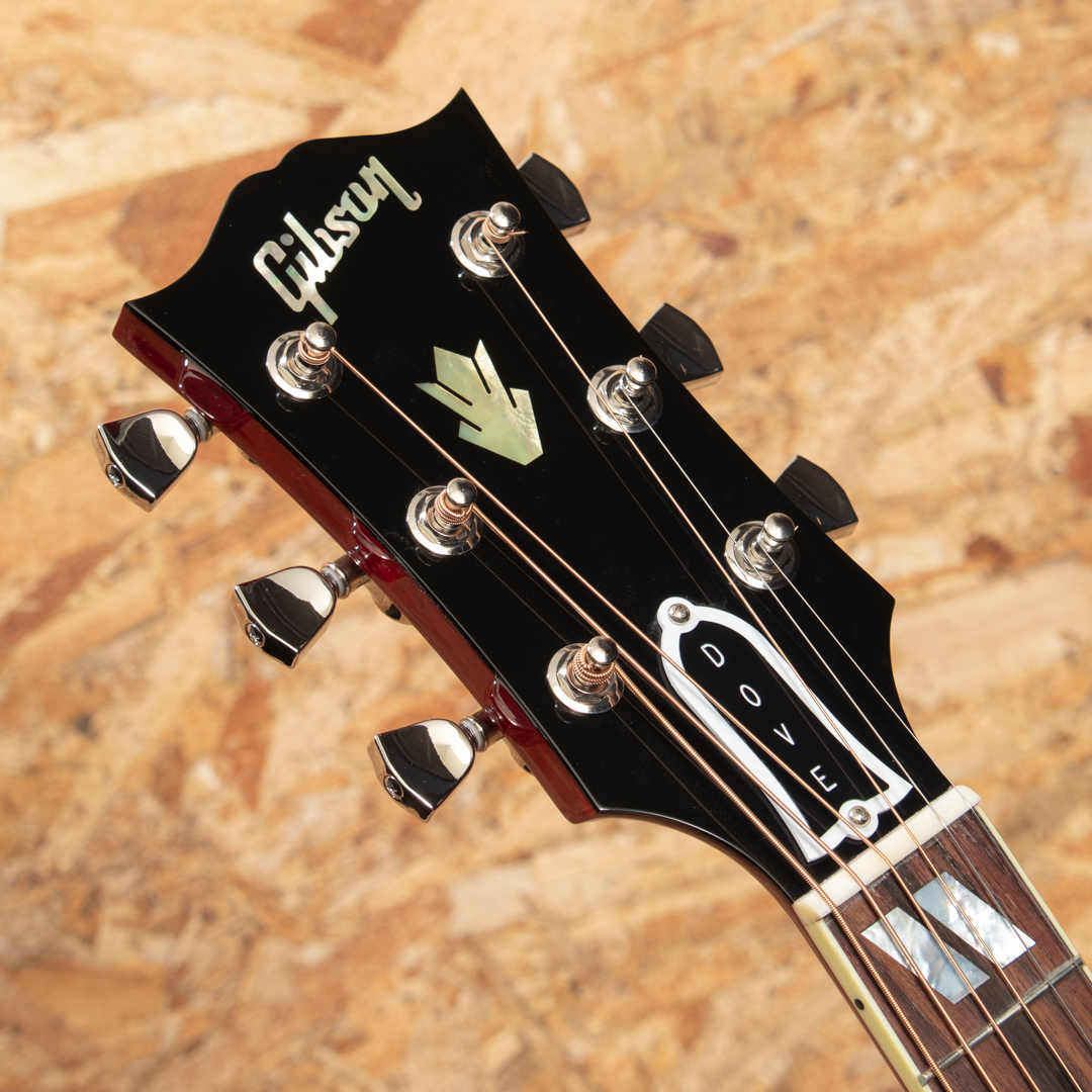 Gibson DOVE Original AN（新品/送料無料）【楽器検索デジマート】