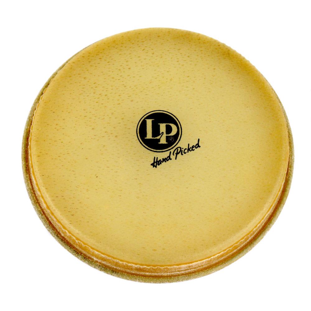 LP LP264A RAWHIDE ボンゴヘッド L ボンゴ用ヘッド（新品/送料無料
