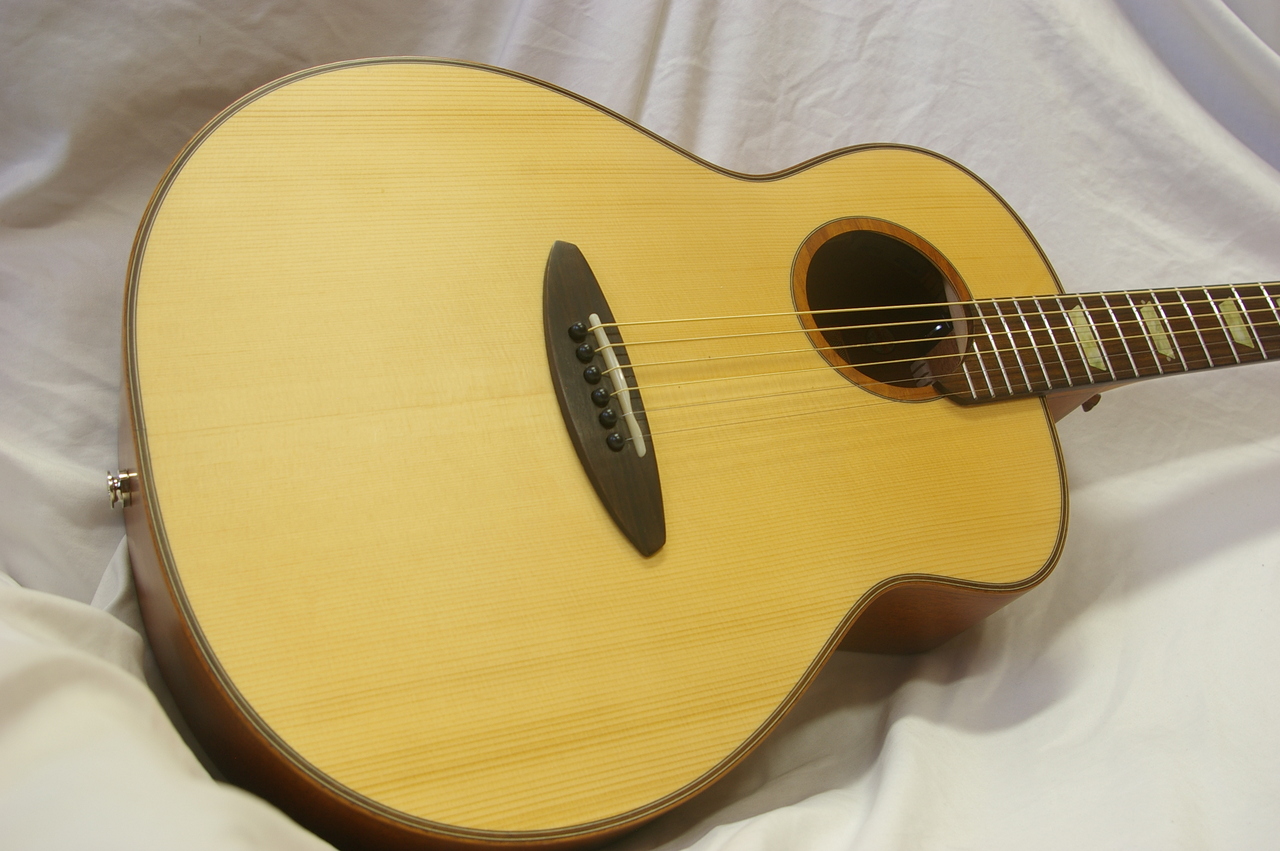 aNueNue aNN-L10E（中古）【楽器検索デジマート】