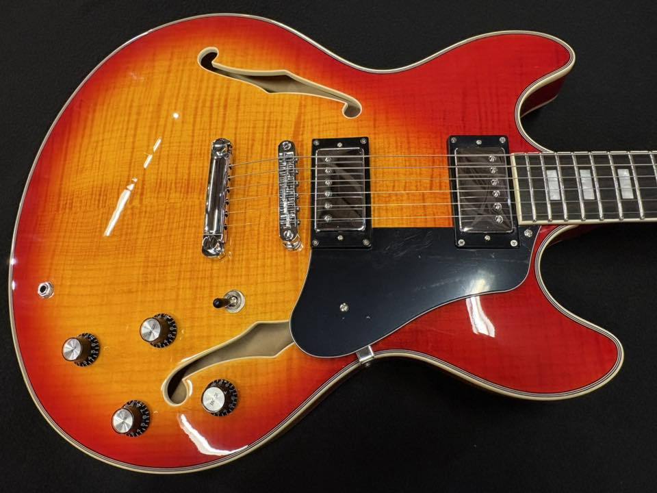Sire Larry Carlton H7 CS (Cherry Sunburst)（新品/送料無料）【楽器