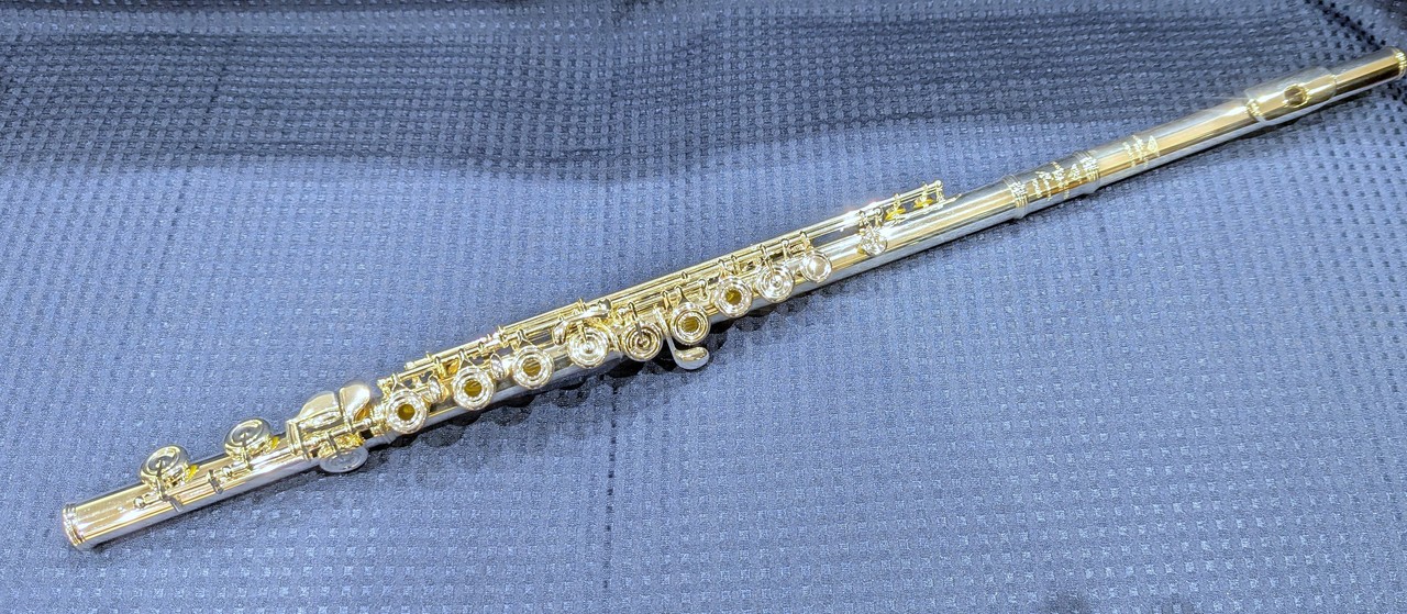 Powell Sonare PS-505【ららぽーとTOKYO-BAY店】（新品）【楽器検索