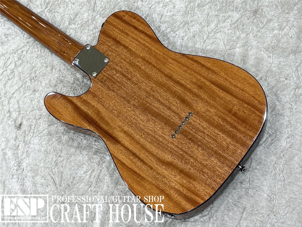 Tokai ATE-103S / Natural（新品/送料無料）【楽器検索デジマート】