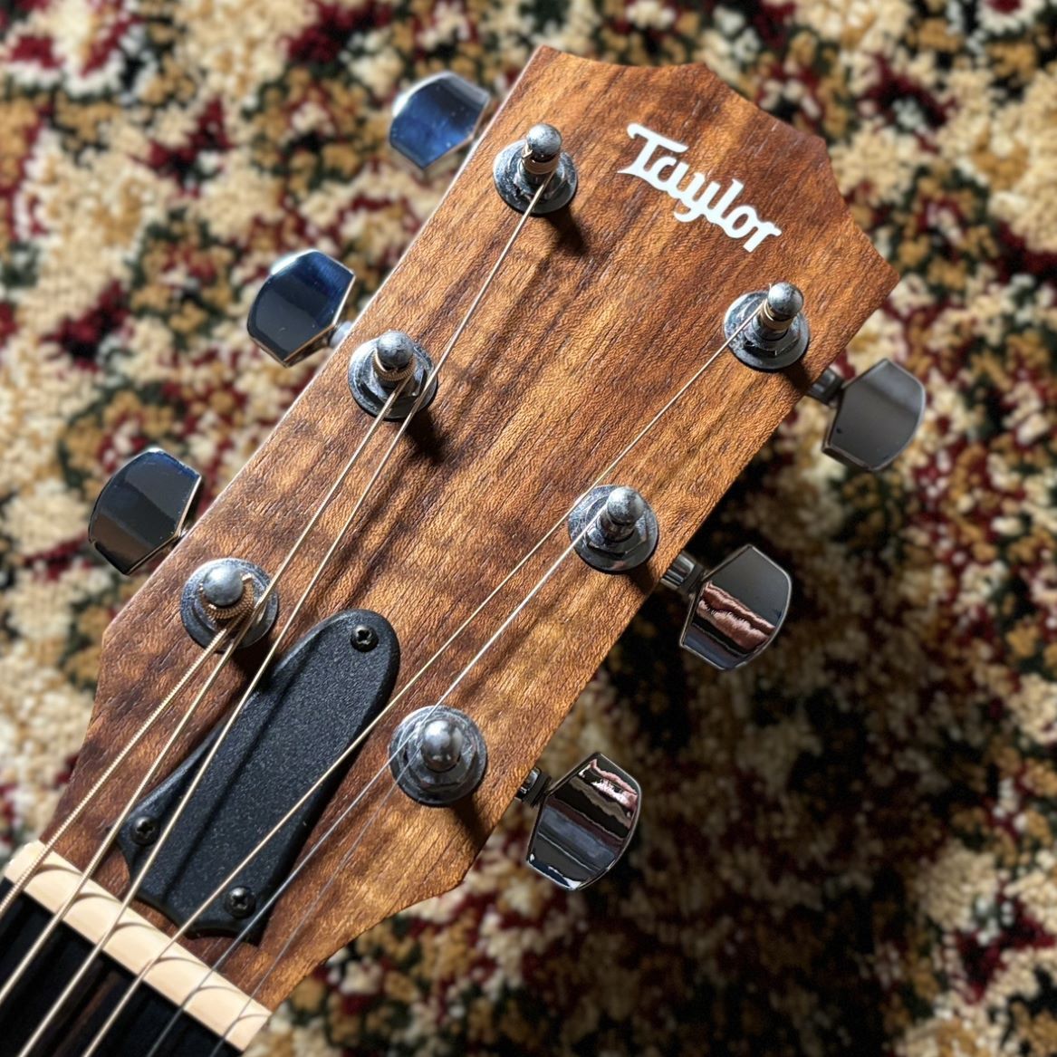 Taylor Academy 10e（中古/送料無料）【楽器検索デジマート】