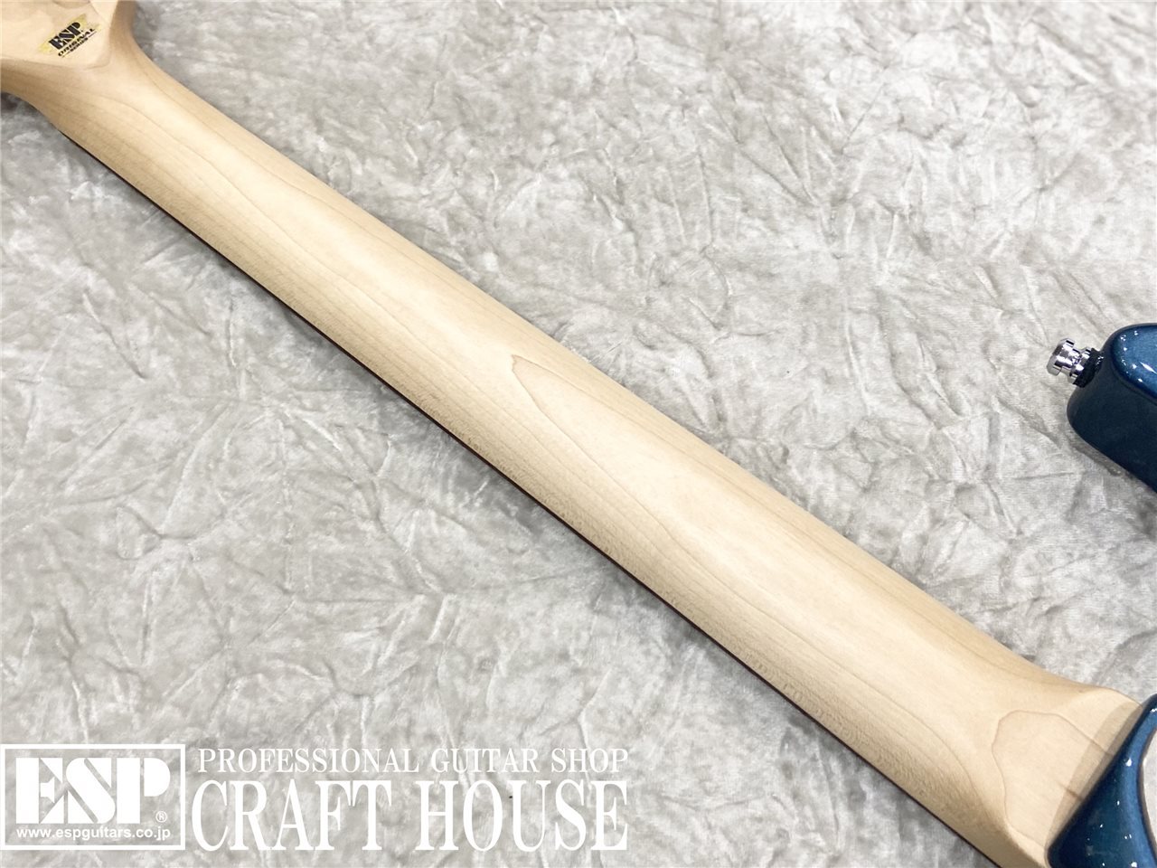 ESP snapper ライトブルー 年式不明 ESP SNAPPER 20th Anniversary Special Vol.15 – ESP Official Blog