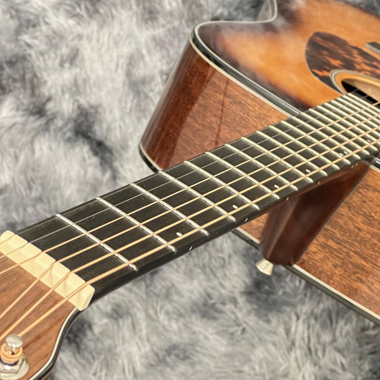 Morris M-025 / TS(タバコサンバースト)（新品特価/送料無料