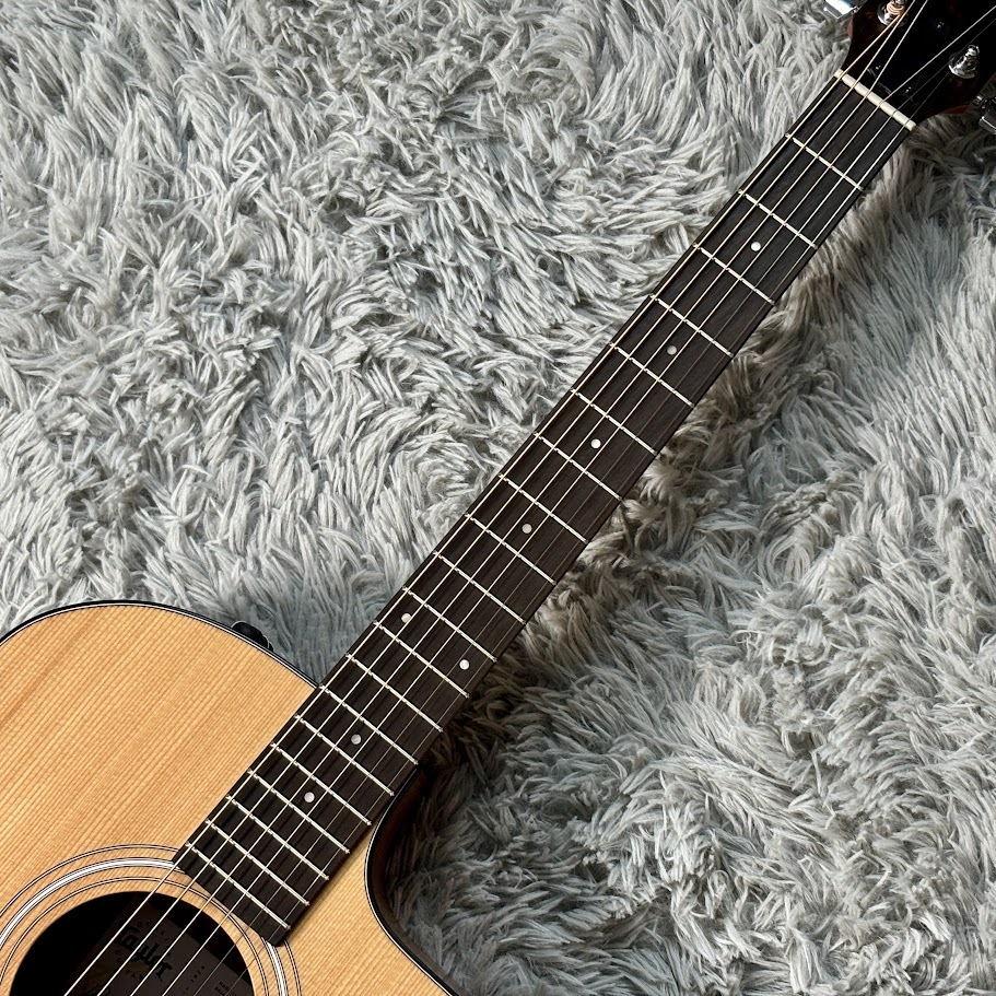 Taylor 114ce【実物画像】（新品/送料無料）【楽器検索デジマート】