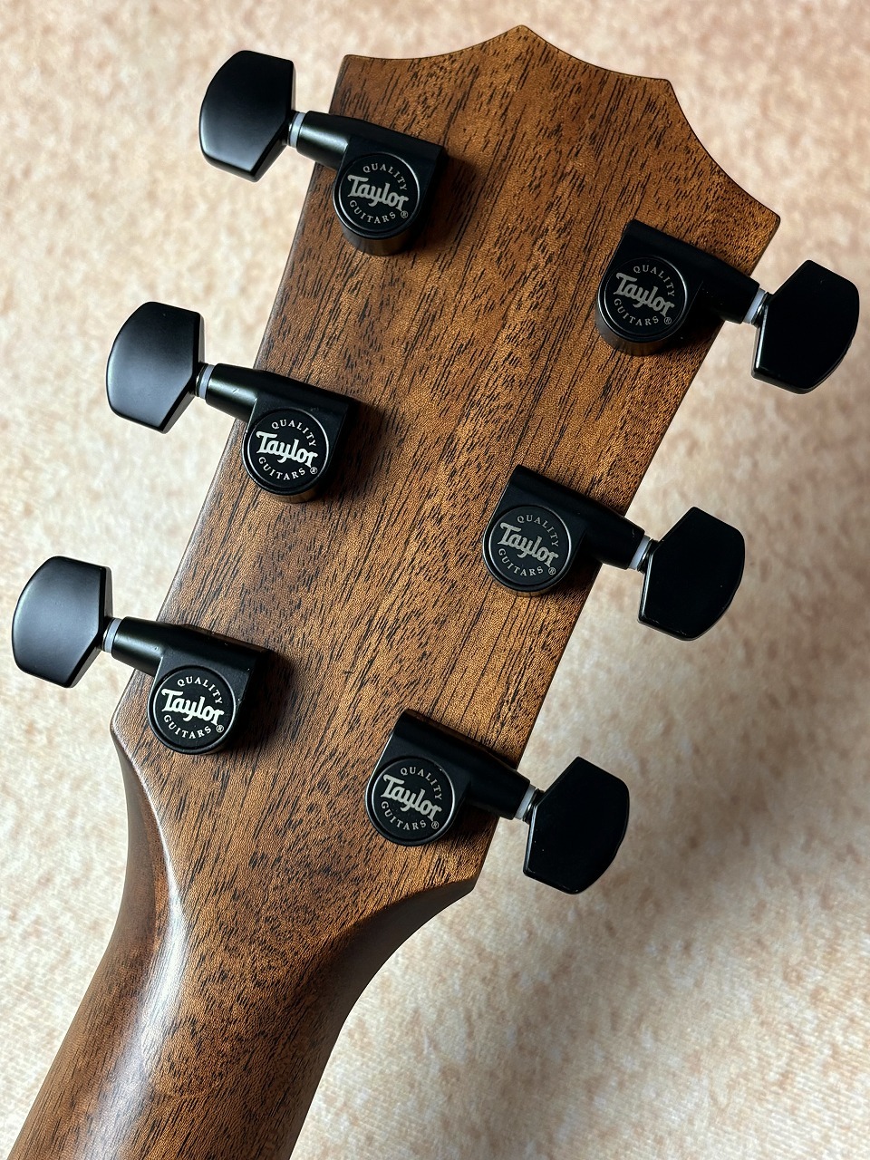 Taylor 【Taylor Guitars Tone Show 2026】324ce Next Generation