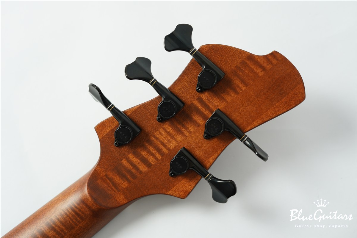 Collectera S1-SH - Antique Brown（新品/送料無料）【楽器検索
