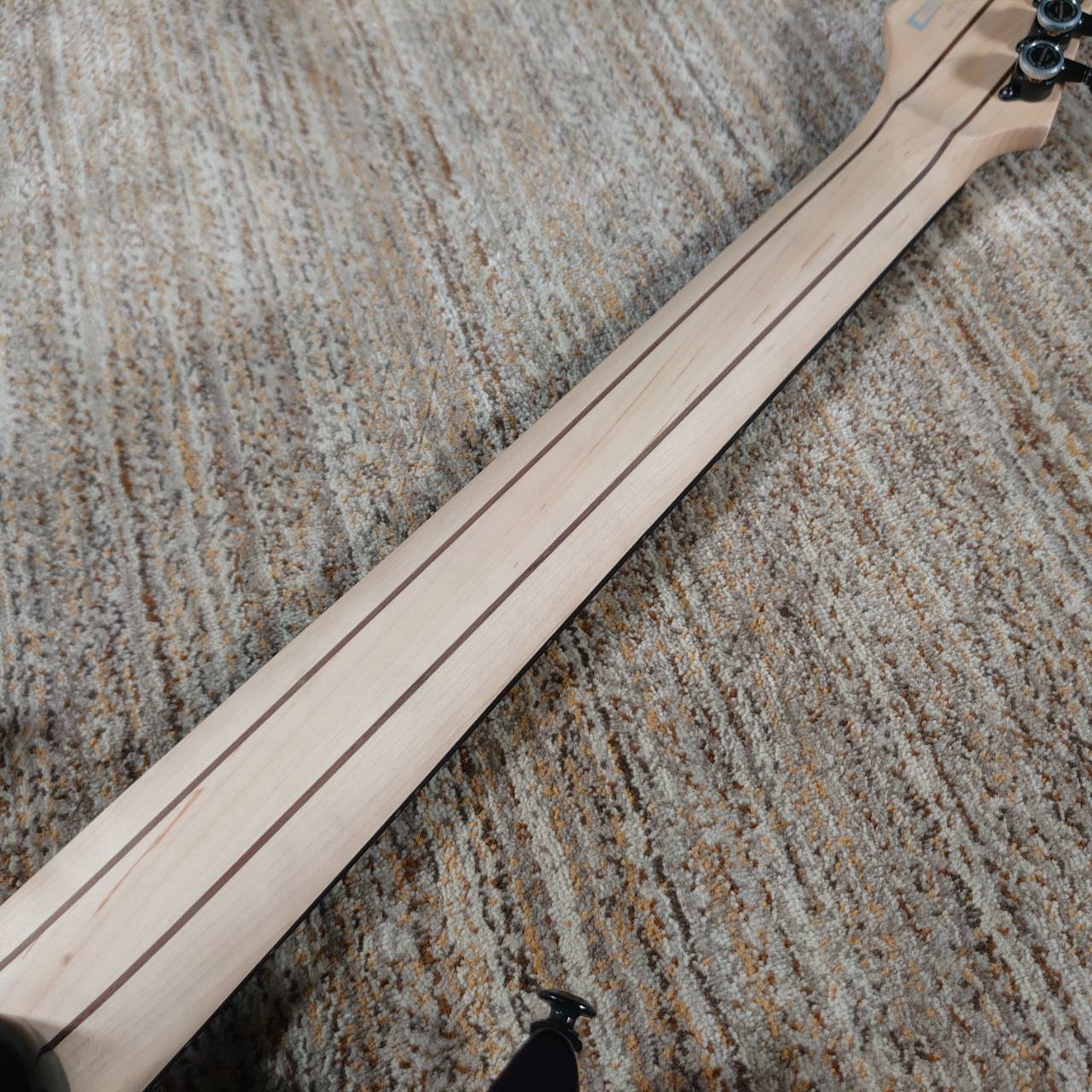 Ibanez RGA217P1PB（新品/送料無料）【楽器検索デジマート】