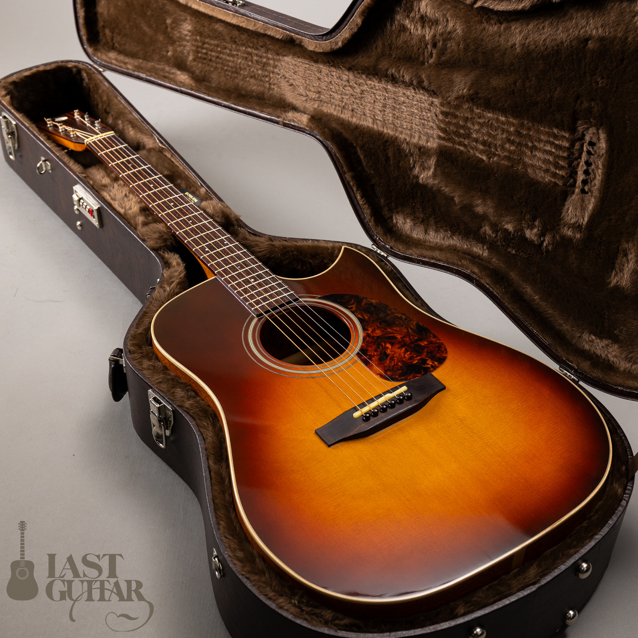IWANEKO GUITARS Type-DC Simple Style Colored Top（新品
