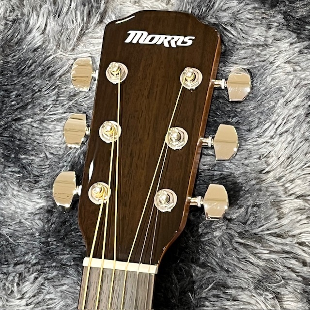 Morris R-1 / NAT (Natural) Renewed Series （新品特価/送料無料