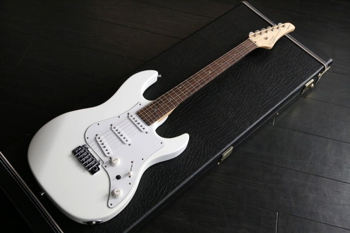 FUJIGEN EXPERT ELAN マットホワイト EXPERT-OS/AL Matte White : Order Gallery - 過去のオーダー品