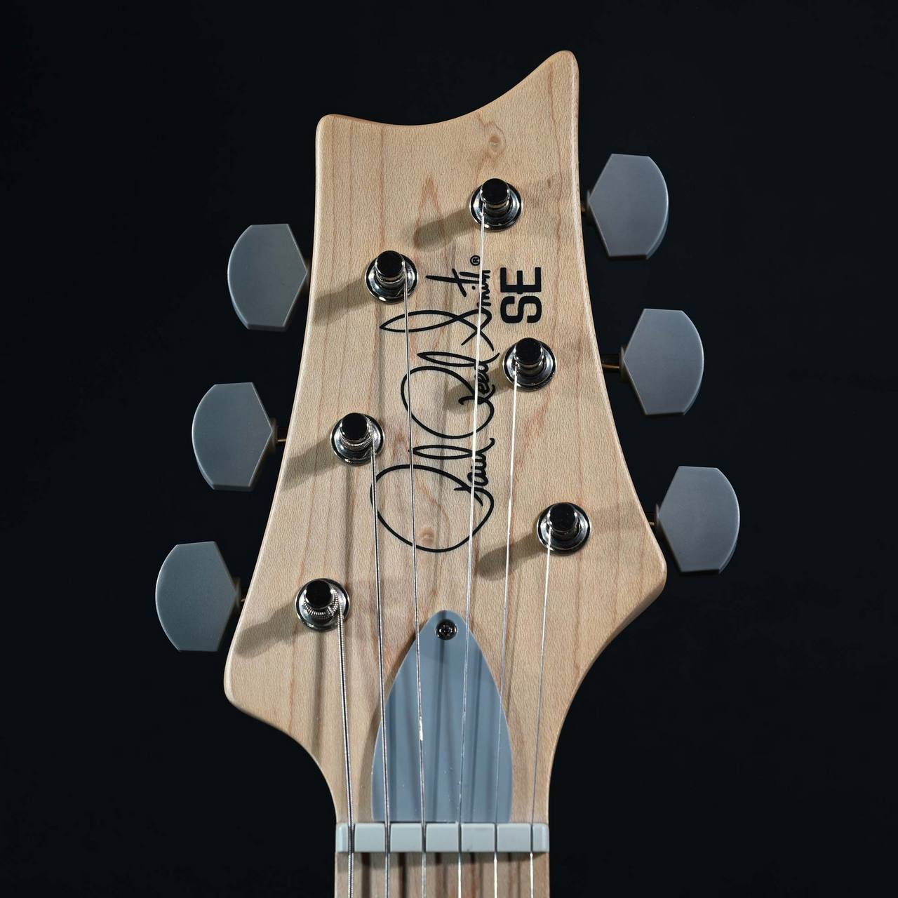 Paul Reed Smith(PRS) SE Silver Sky Maple 5J Overland Gray S/N