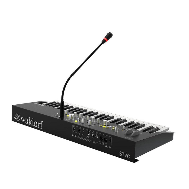 Waldorf STVC Strings Synthesizer & Vocoder【お取り寄せ商品】（新品