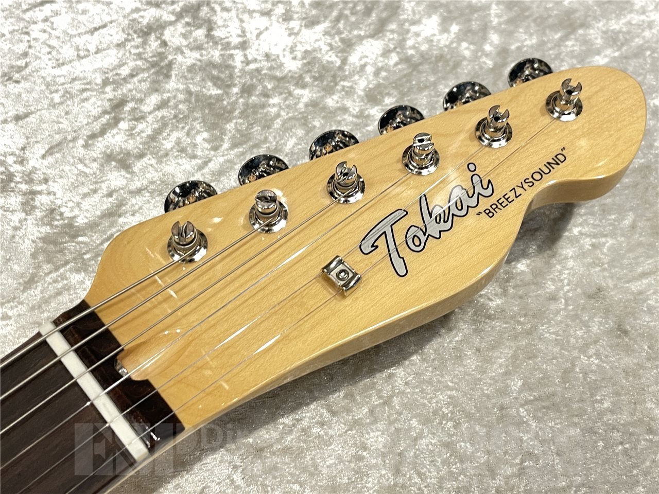 Tokai ATE-102/M【US Blonde】（新品/送料無料）【楽器検索デジマート】