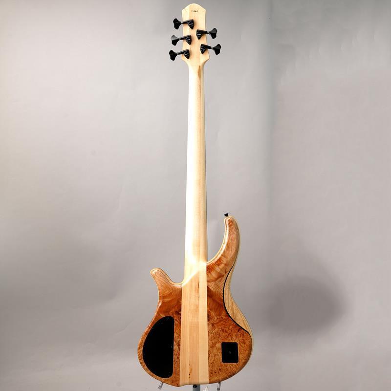 Phoenix PH9-5 Burl Maple 【夏先取り大特価セール】（新品