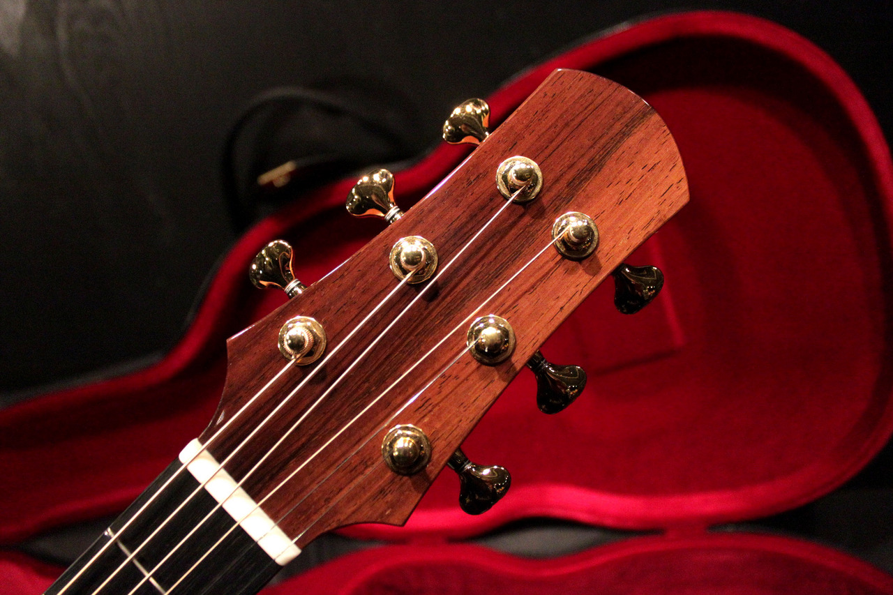 ASTURIAS GRAND SOLO Premio Model CR 2022（中古）【楽器検索