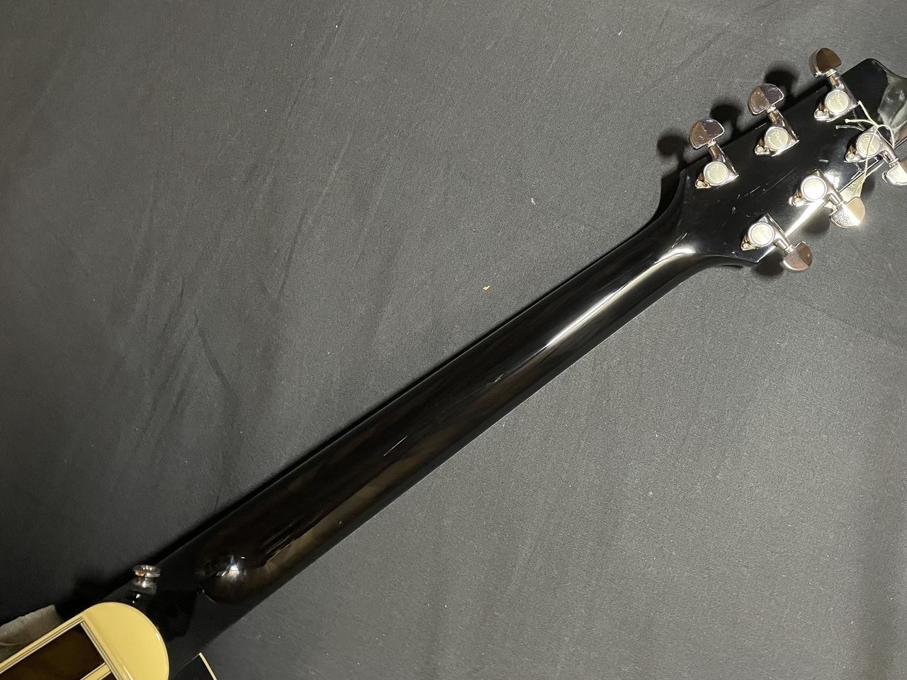 Takamine TDP561C BL【送料無料】（新品/送料無料）【楽器検索デジマート】