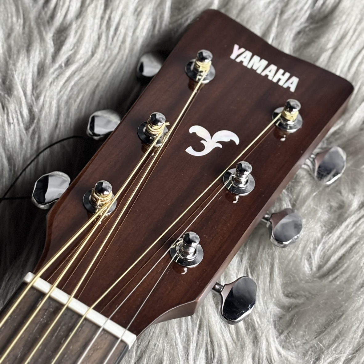 YAMAHA FGX865 TBL(トランスルーセントブラック) アコースティック